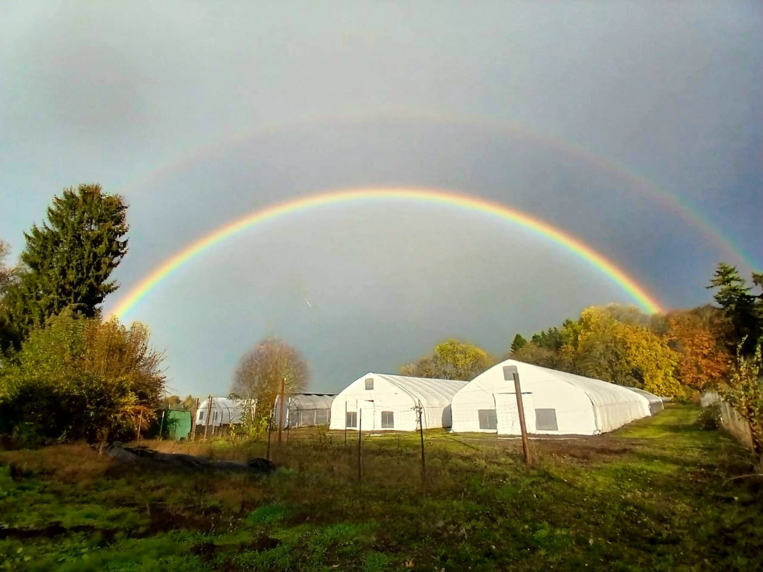 A double rainbow over greenhouses