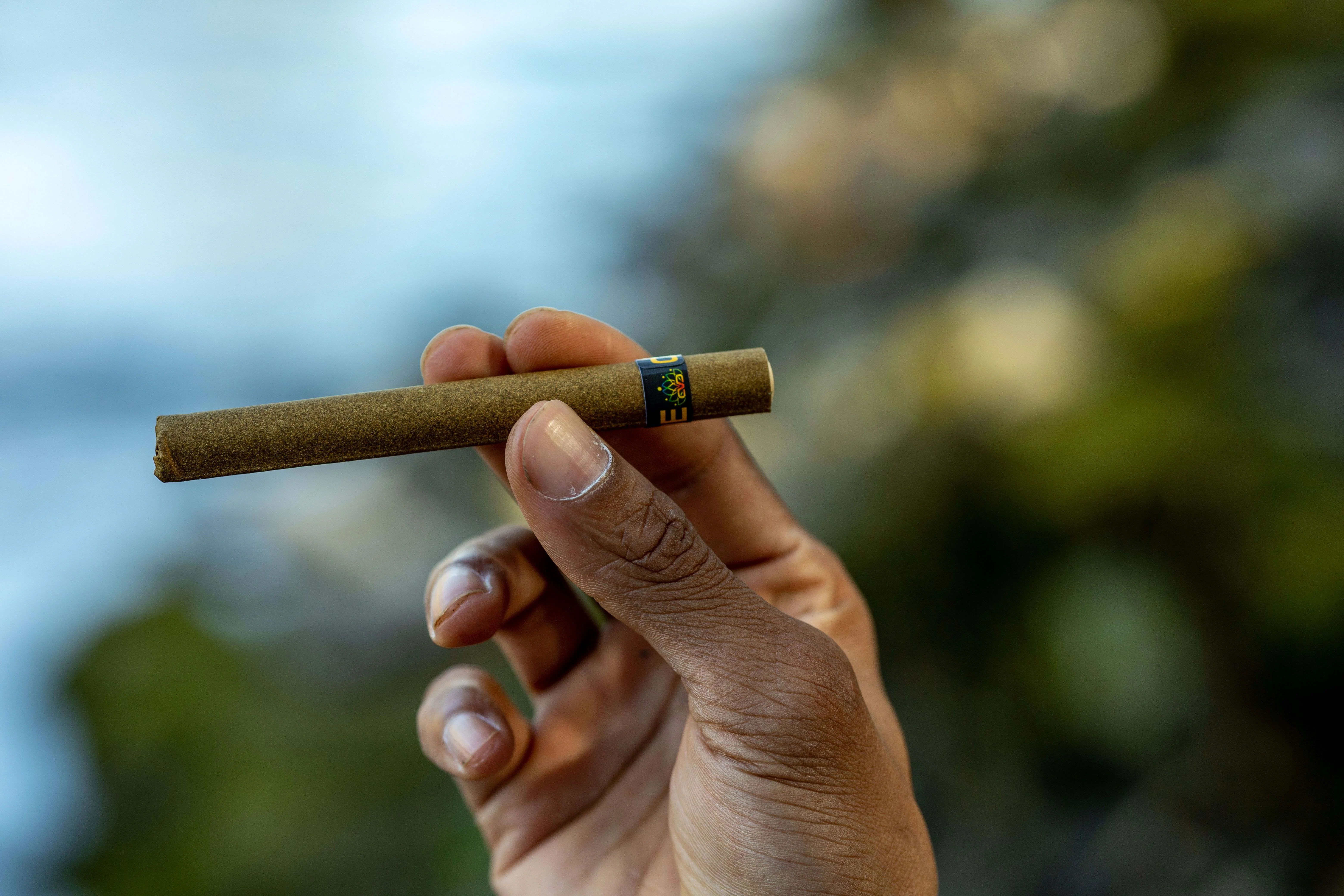 a hand holding a blunt