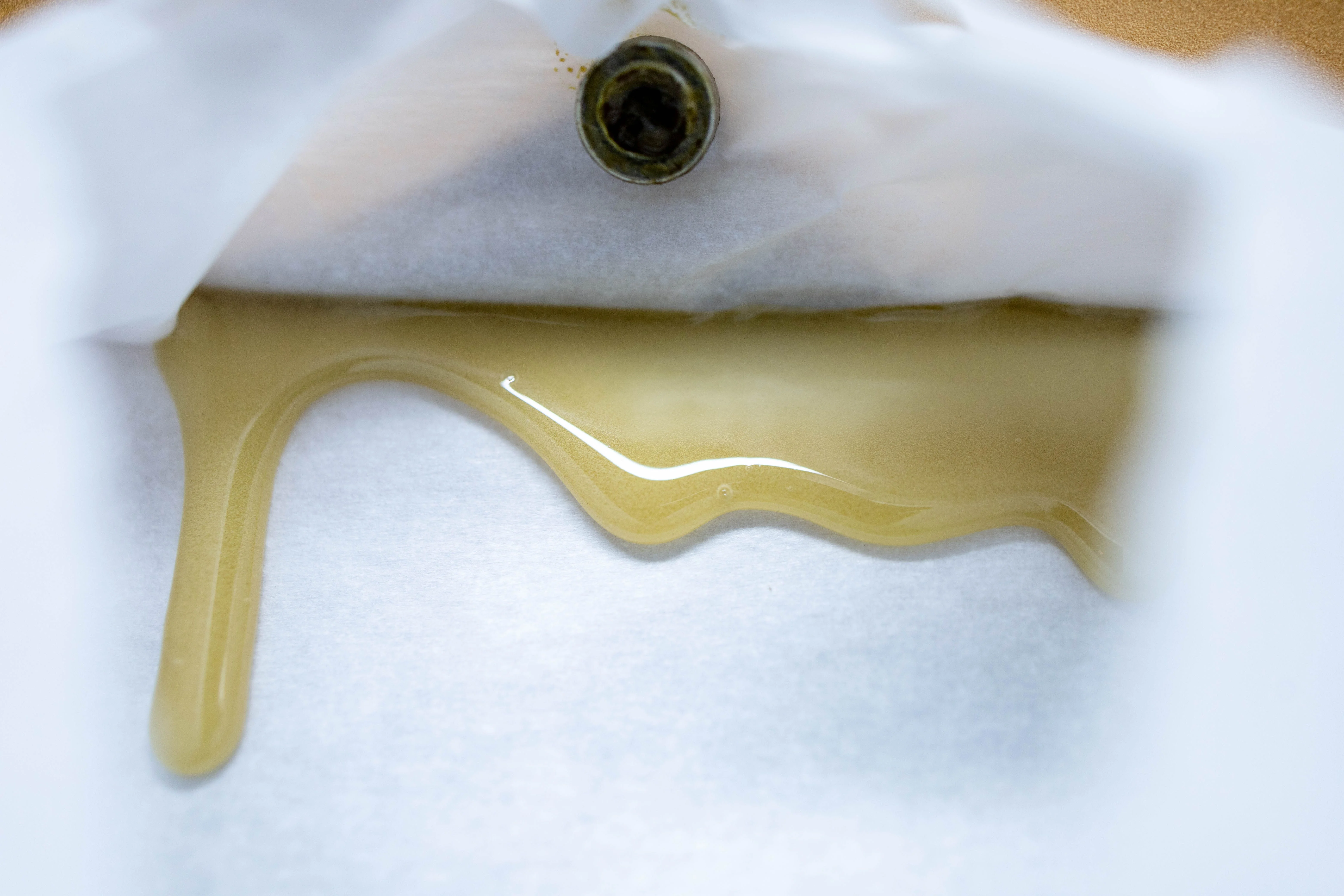 Rosin oozing out of the press